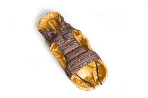 Fashion Dog - Cappotto impermeabile per Bassotto trapuntato con cappuccio rimovibile <br> Art. 145 - immagine 3