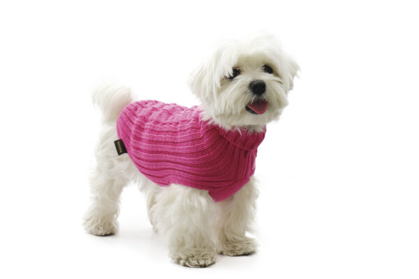 Fashion Dog - Maglione Cane misto lana Merino <br> Art. 303 Brio - immagine 4