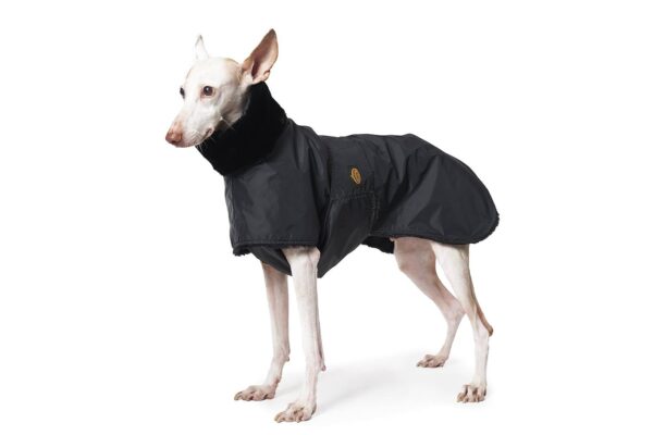 Cappotto impermeabile per Levriero Fashion Dog Art. 184