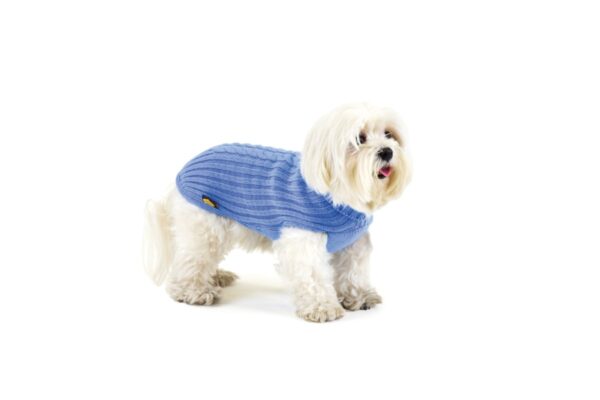 Maglione per Cane 50% lana merinos 50% acrilico - Fashion Dog - Art 303 brio - Bluette