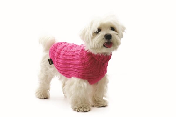 Maglione per Cane 50% lana merinos 50% acrilico - Fashion Dog - Art 303 brio - Fucsia