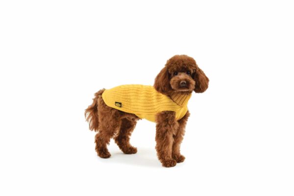 Maglione per Cane 50% lana merinos 50% acrilico - Fashion Dog - Art 303 brio - Giallo