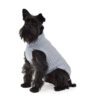 Maglione per Cane 50% lana merinos 50% acrilico - Fashion Dog - Art 303 brio - Grigio