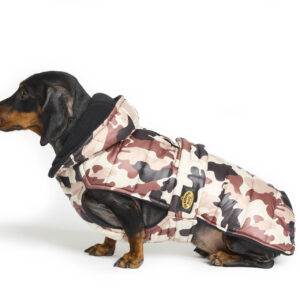 Fashion Dog - Cappotto trapuntato in pile per Bassotto con cappuccio e asola per pettorina <br> Art. 146