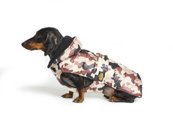 Fashion Dog - Cappotto trapuntato in pile per Bassotto con cappuccio e asola per pettorina <br> Art. 146