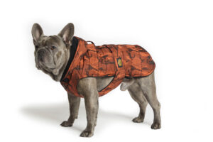 Fashion Dog - Cappotto trapuntato per Bulldog Francese e Carlino foderato in pile con cappuccio   Art. 158