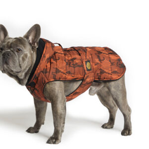Fashion Dog - Cappotto trapuntato per Bulldog Francese e Carlino foderato in pile con cappuccio <br> Art. 158