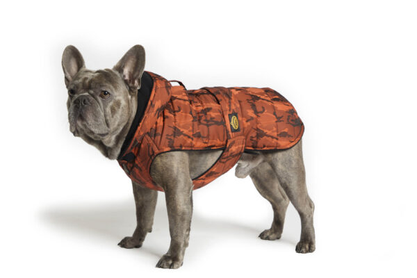 Fashion Dog - Cappotto trapuntato per Bulldog Francese e Carlino foderato in pile con cappuccio <br> Art. 158
