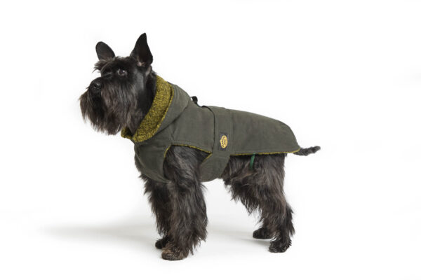 Fashion Dog - Cappotto impermeabile Cane foderato in pannetto di lana con cappuccio e asola per pettorina <br> Art. 254