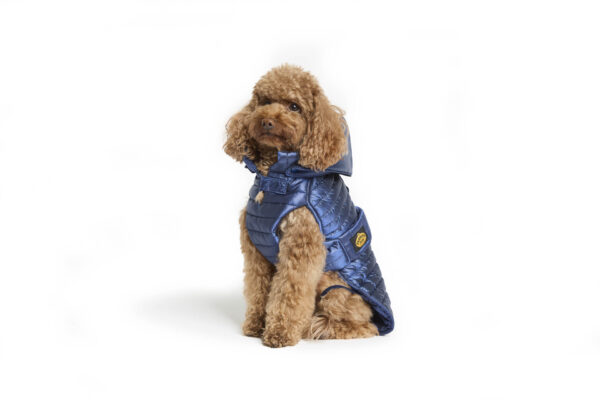Fashion Dog - Cappotto impermeabile Cane trapuntato con cappuccio rimovibile con asola per pettorina <br> Art. 263