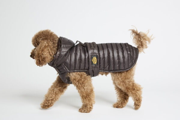 Fashion Dog - Cappotto impermeabile Cane trapuntato con cappuccio rimovibile con asola per pettorina <br> Art. 263 - immagine 2