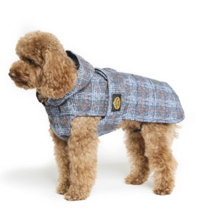 Fashion Dog - Cappotto impermeabile Cane trapuntato con cappuccio e asola per pettorina <br> Art. 264