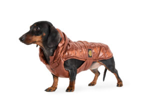 Fashion Dog - Cappotto impermeabile bassotto trapuntato con cappuccio rimovibile e asola per pettorina   Art. 147