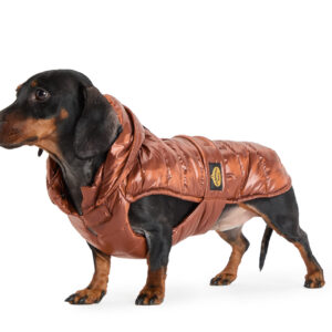 Fashion Dog - Cappotto impermeabile bassotto trapuntato con cappuccio rimovibile e asola per pettorina <br> Art. 147