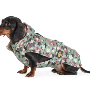 Fashion Dog - Cappotto impermeabile bassotto trapuntato con cappuccio rimovibile e asola per pettorina - Art. 148