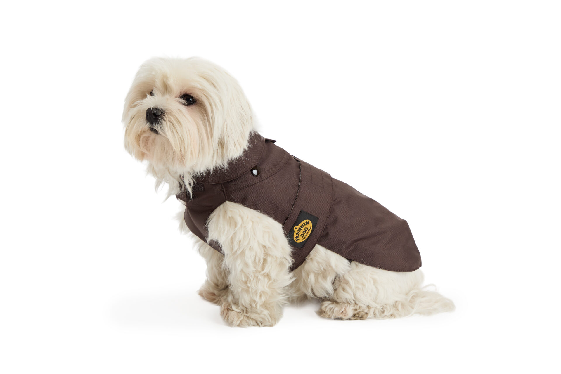 Fashion Dog - Cappotto impermeabile con imbottitura staccabile -Art. 244 - Colore marrone - dettaglio 2