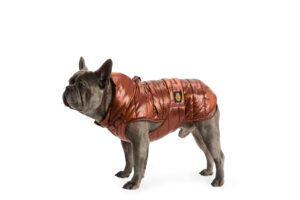 Fashion Dog - Cappotto impermeabile trapuntato con cappuccio rimovibile e asola per pettorina   Art. 159
