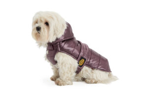 Fashion Dog - Cappotto impermeabile trapuntato con cappuccio rimovibile e asola per pettorina - Metallizzato   Art. 265