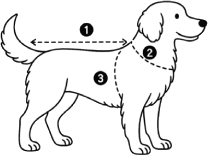 Come misurare il cane per scegliere la taglia