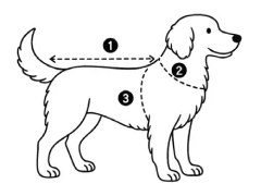 Come misurare il cane